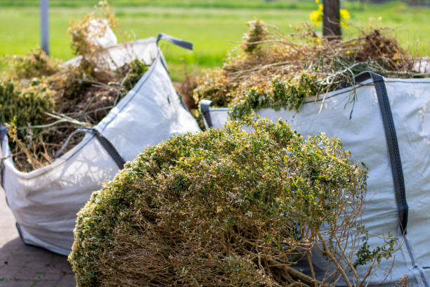 Demolition Debris Removal in Chevy Chase Heights, PA